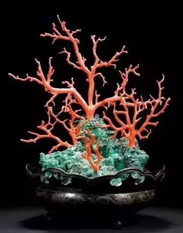 驚艷世界的故宮清代盆景，美哉!