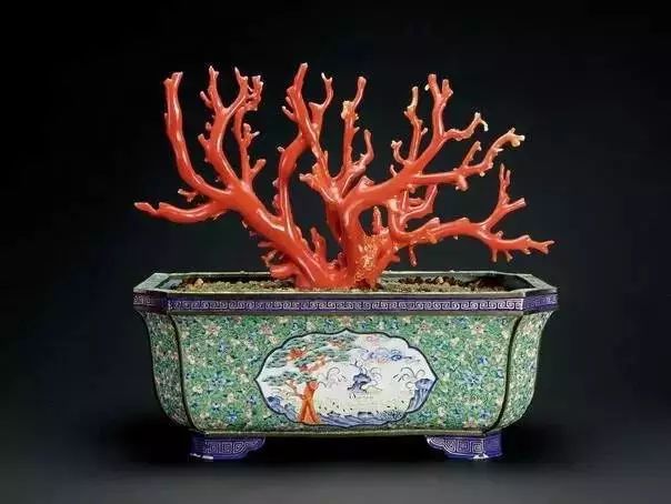 驚艷世界的故宮清代盆景，美哉!