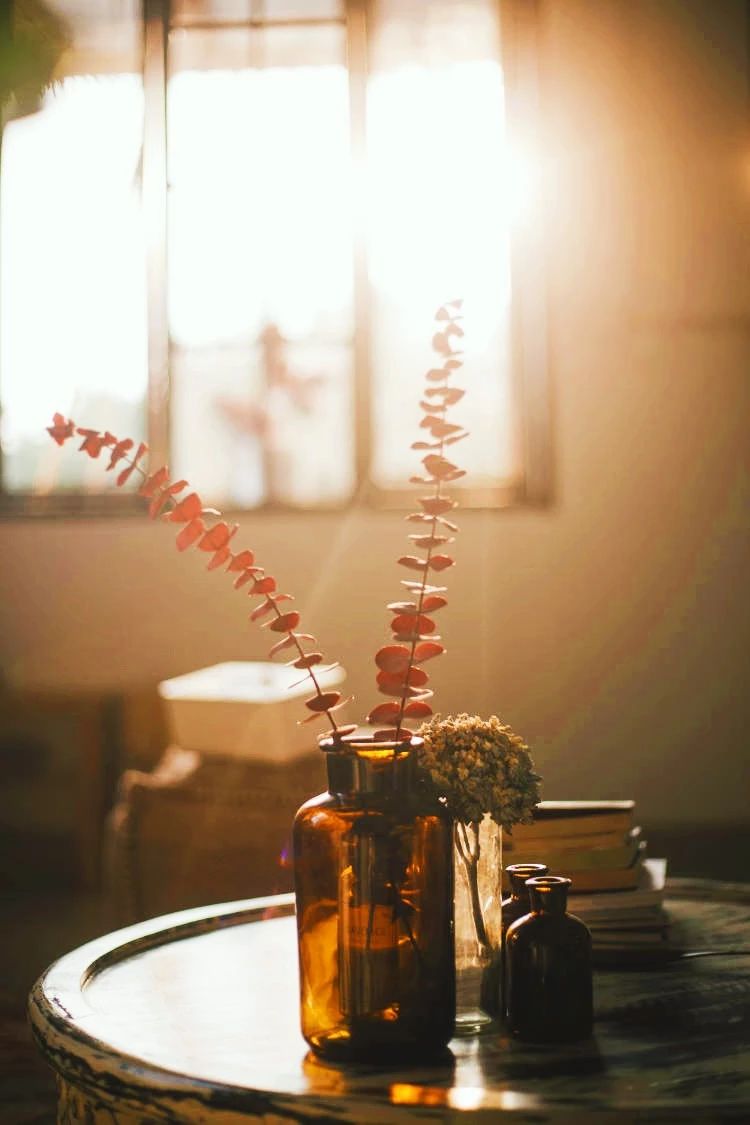 廈門·花青宿，一場風格迥異遠古部落的夢