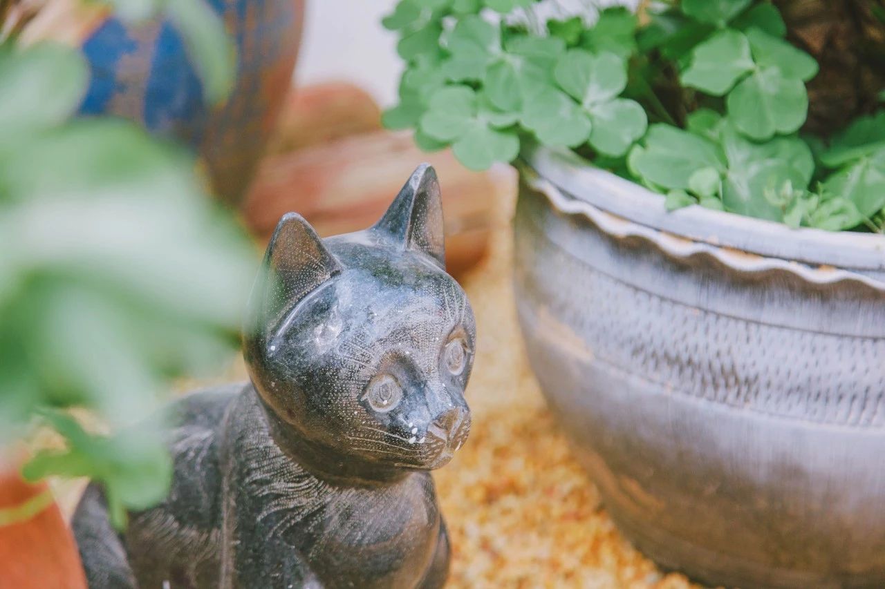 廈門·花青宿，一場風(fēng)格迥異遠(yuǎn)古部落的夢