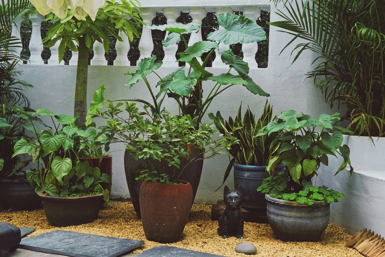 廈門·花青宿，一場風格迥異遠古部落的夢