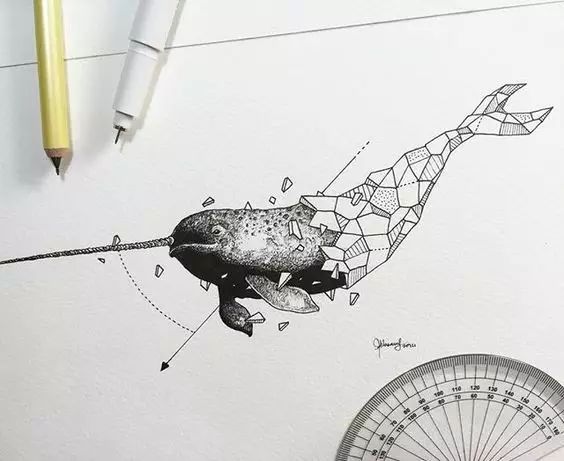 驚嘆的動(dòng)物手繪插畫：學(xué)霸與藝術(shù)的完美融合