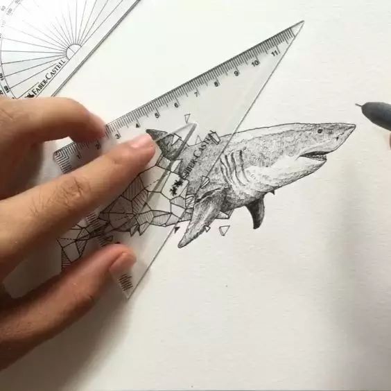 驚嘆的動(dòng)物手繪插畫：學(xué)霸與藝術(shù)的完美融合