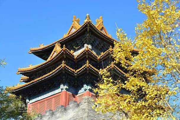 最美風(fēng)景故宮最新艷照，美到爆！