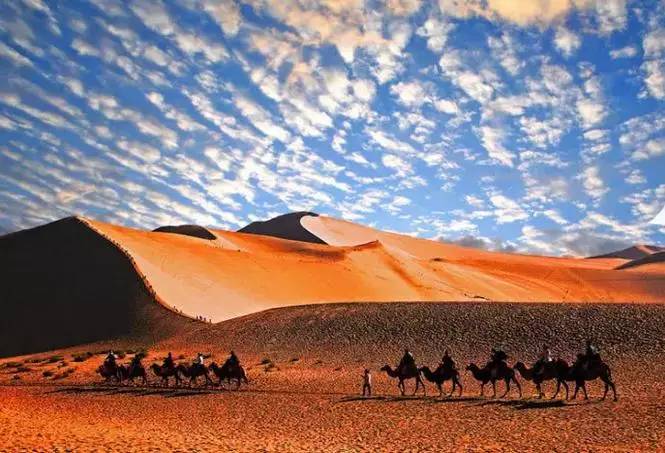 《天邊的駱駝》，震撼的沙漠風(fēng)景之美!
