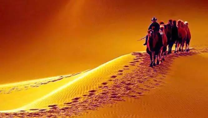 《天邊的駱駝》，震撼的沙漠風(fēng)景之美!