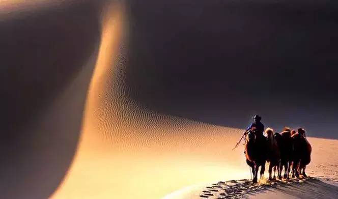 《天邊的駱駝》，震撼的沙漠風(fēng)景之美!