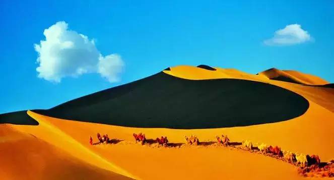 《天邊的駱駝》，震撼的沙漠風景之美!