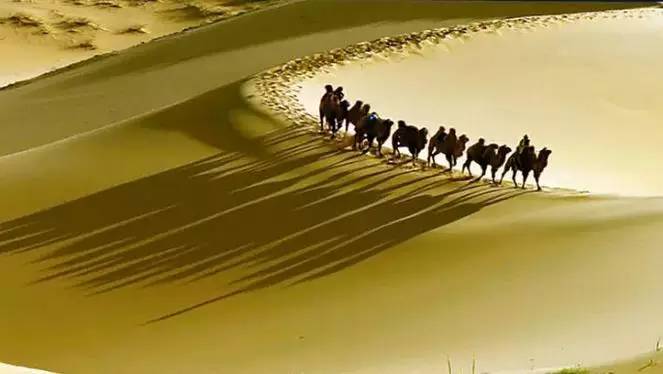 《天邊的駱駝》，震撼的沙漠風景之美!