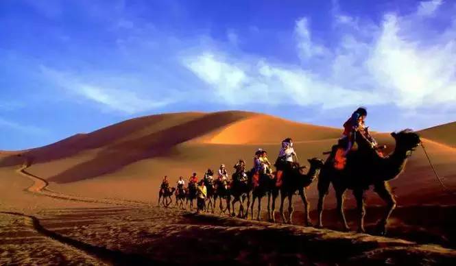 《天邊的駱駝》，震撼的沙漠風景之美!