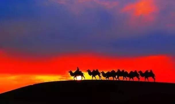 《天邊的駱駝》，震撼的沙漠風景之美!