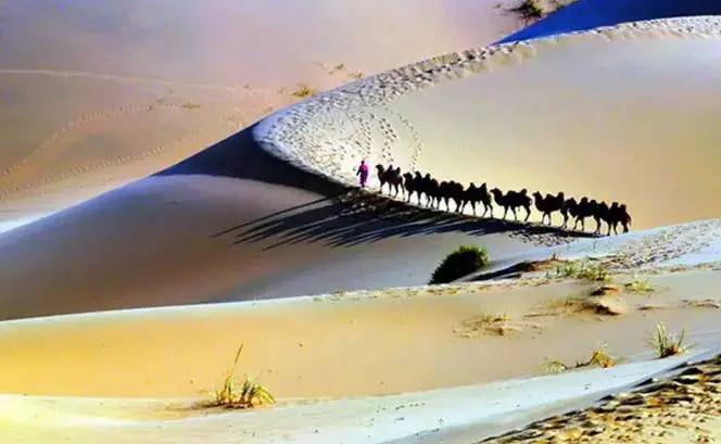 《天邊的駱駝》，震撼的沙漠風(fēng)景之美!