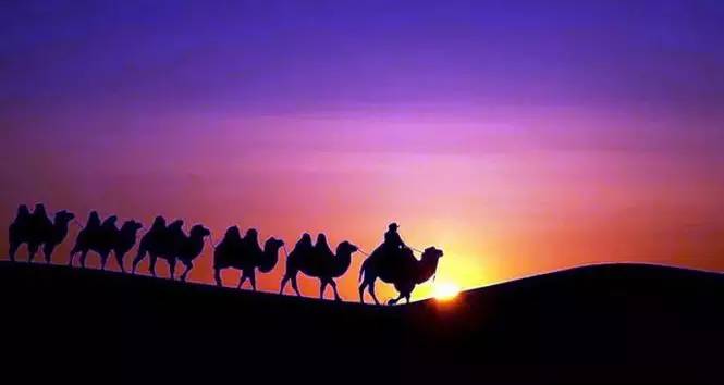 《天邊的駱駝》，震撼的沙漠風景之美!