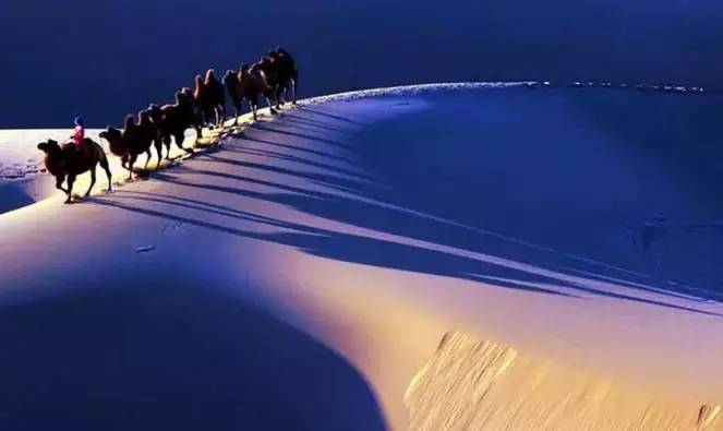 《天邊的駱駝》，震撼的沙漠風(fēng)景之美!