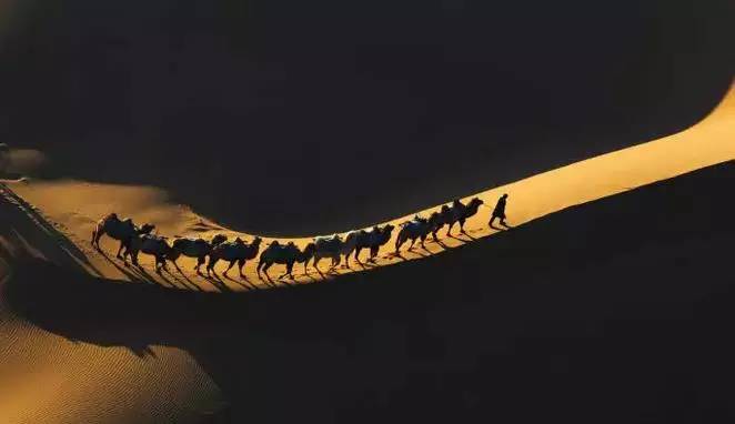 《天邊的駱駝》，震撼的沙漠風(fēng)景之美!