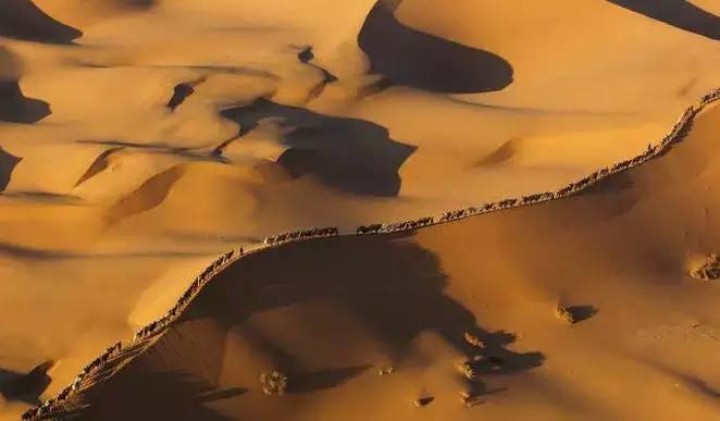 《天邊的駱駝》，震撼的沙漠風(fēng)景之美!