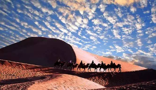 《天邊的駱駝》，震撼的沙漠風(fēng)景之美!