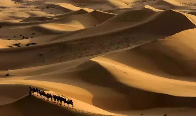 《天邊的駱駝》，震撼的沙漠風(fēng)景之美!