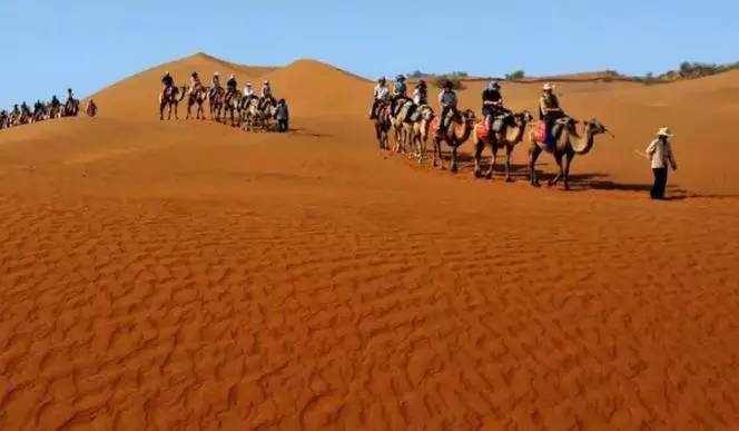 《天邊的駱駝》，震撼的沙漠風(fēng)景之美!
