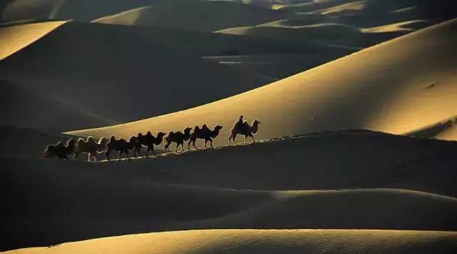 《天邊的駱駝》，震撼的沙漠風(fēng)景之美!