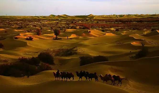 《天邊的駱駝》，震撼的沙漠風(fēng)景之美!