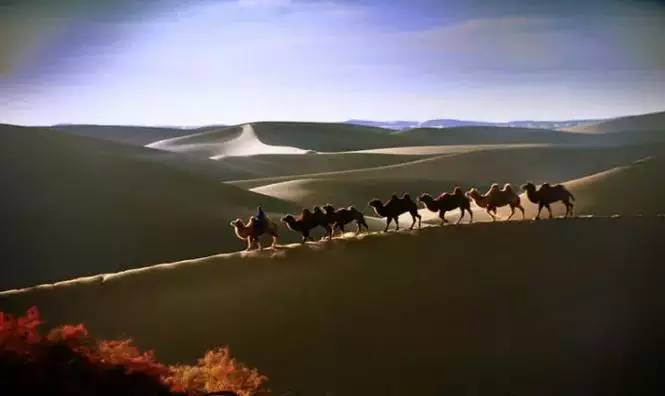 《天邊的駱駝》，震撼的沙漠風(fēng)景之美!