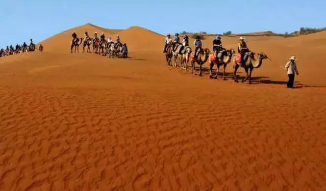 《天邊的駱駝》，震撼的沙漠風(fēng)景之美!