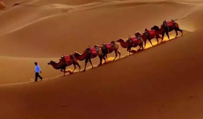 《天邊的駱駝》，震撼的沙漠風(fēng)景之美!