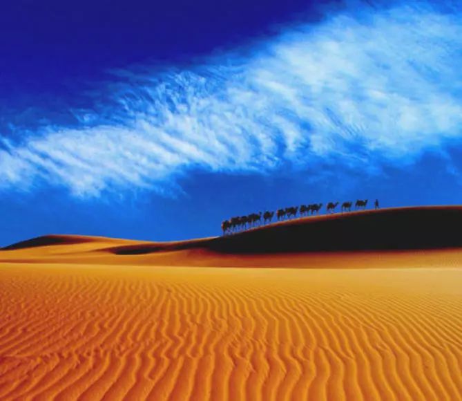 《天邊的駱駝》，震撼的沙漠風(fēng)景之美!