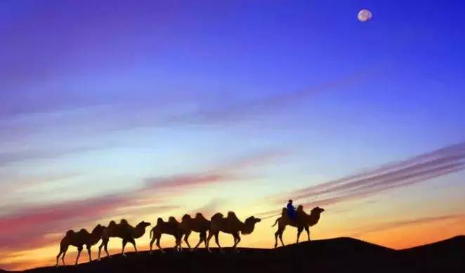 《天邊的駱駝》，震撼的沙漠風(fēng)景之美!