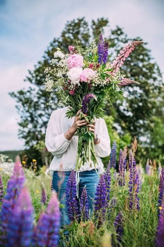 最美風(fēng)景《魯冰花》，送給母親的花！