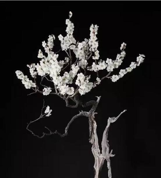 頂級盆景藝術(shù)，一種讓世人驚嘆的美！