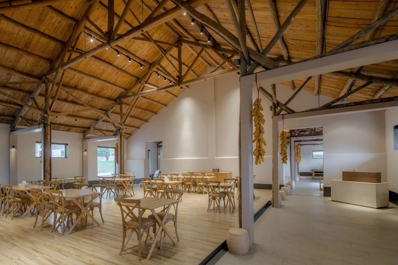 九熹·大樂之野，流水的大樂之野鐵打的小白墻