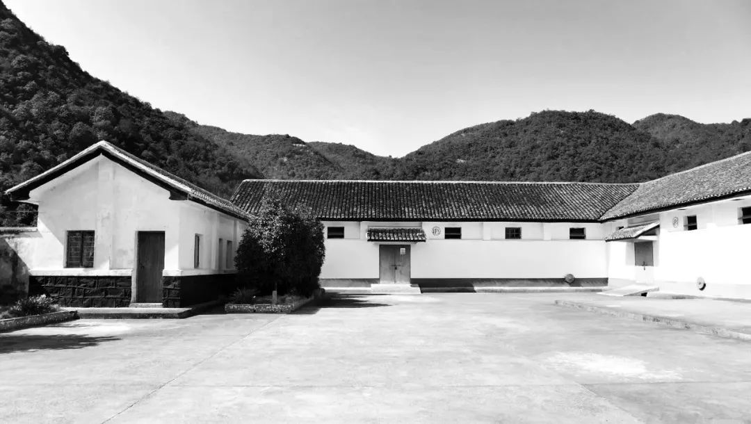 九熹·大樂之野，流水的大樂之野鐵打的小白墻