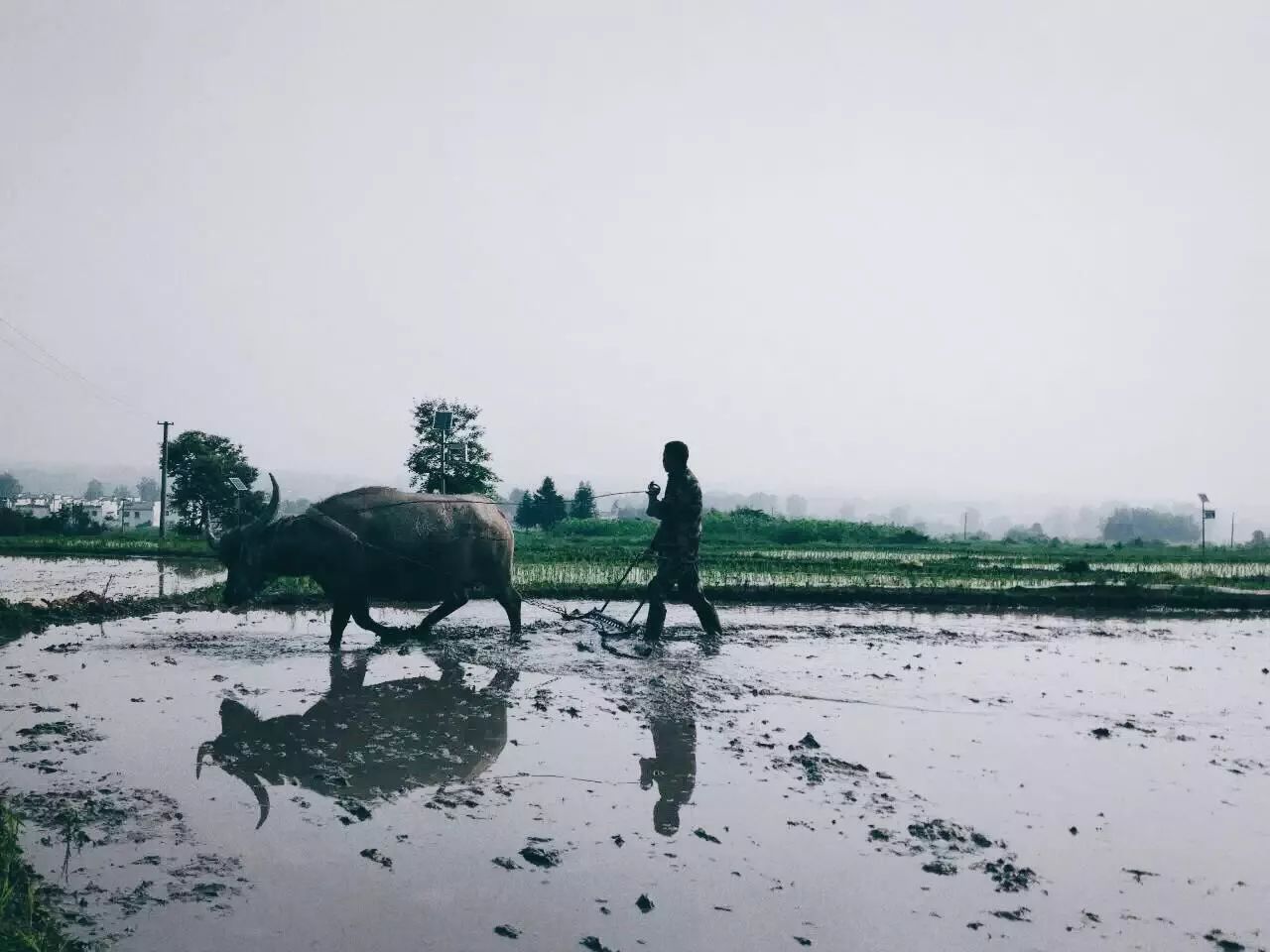 黃山·東田別野，日出而作日落而息的時(shí)光野