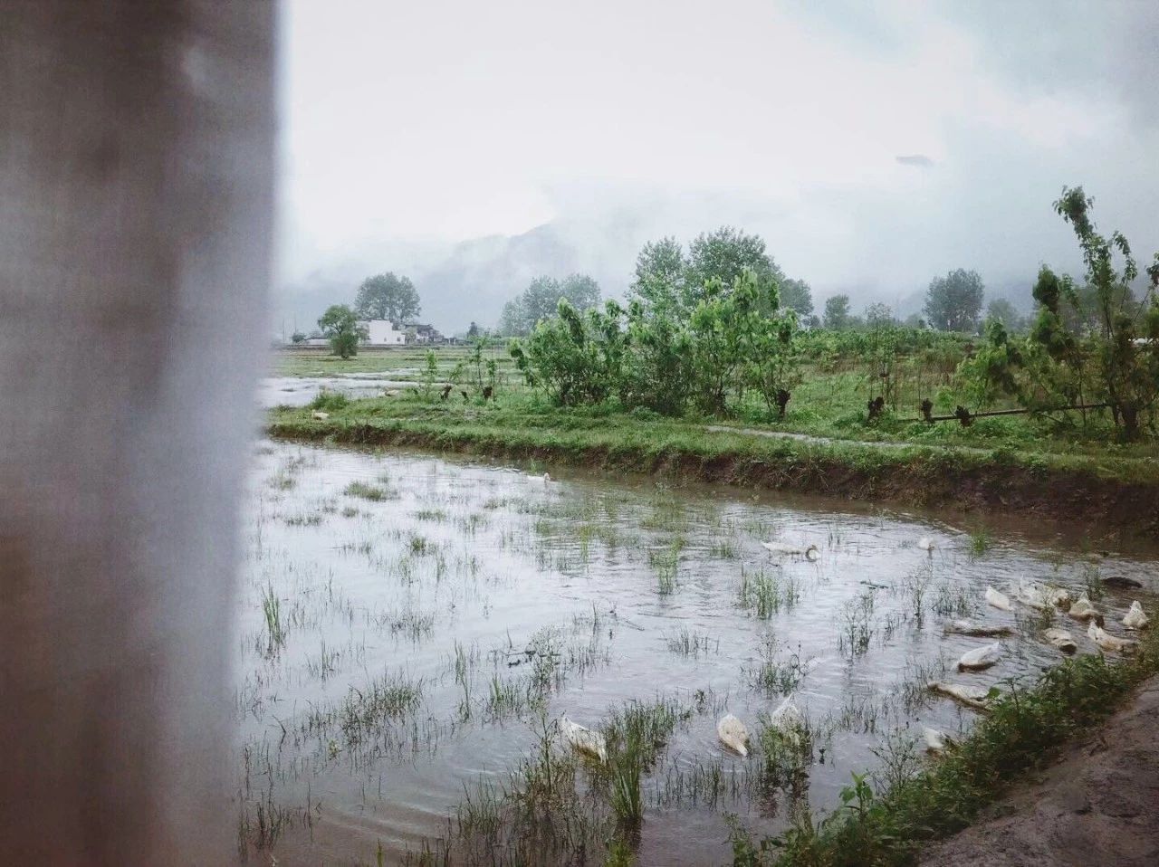 黃山·東田別野，日出而作日落而息的時(shí)光野