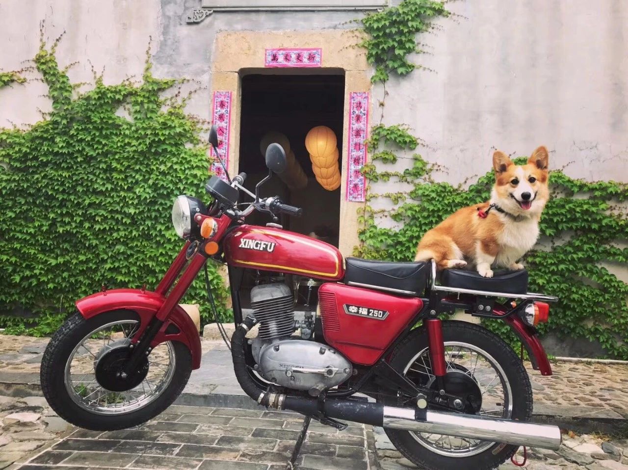 黃山·東田別野，日出而作日落而息的時(shí)光野