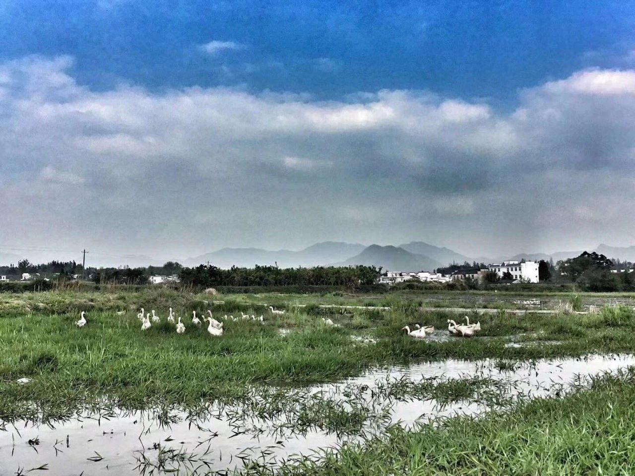 黃山·東田別野，日出而作日落而息的時光野