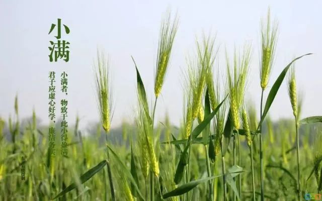 小滿節(jié)氣，人生小滿