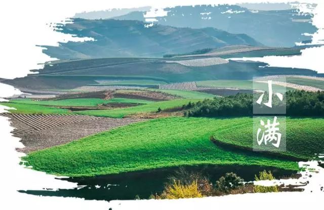 小滿節(jié)氣，人生小滿