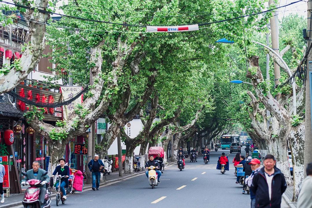 蘇州·蘇舍，在平江路享受蘇州的慢與蘇