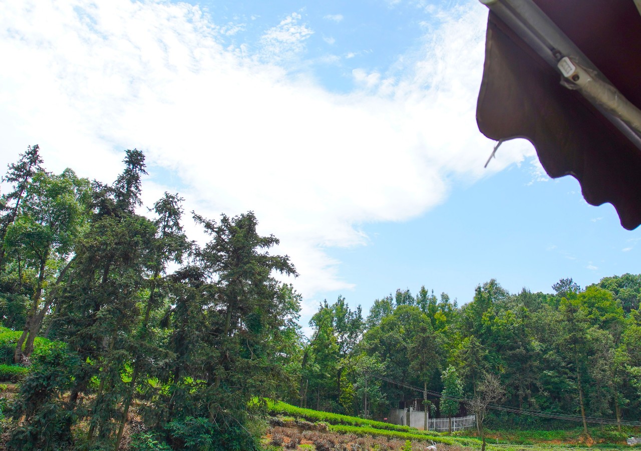 點(diǎn)叁民宿，千島湖坐船賞景豈不詩意？