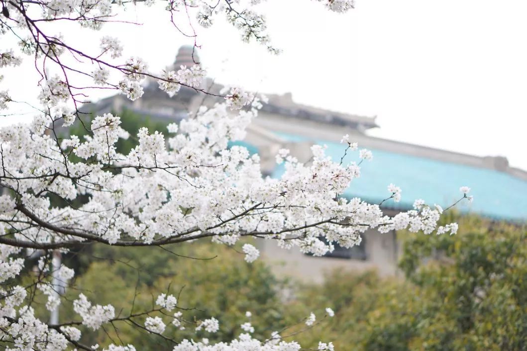 遇見(jiàn)中國(guó)最美的風(fēng)景，30個(gè)景色宜人的地方！