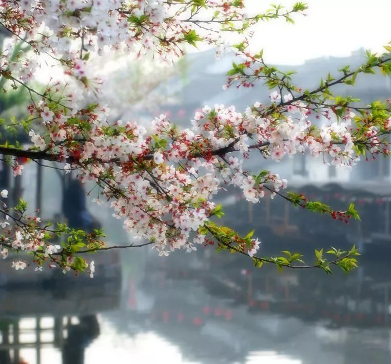 遇見中國最美的風(fēng)景，30個(gè)景色宜人的地方！