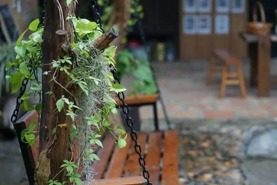 廣州·菁木山舍，有個(gè)木屋開滿鮮花看花開花落