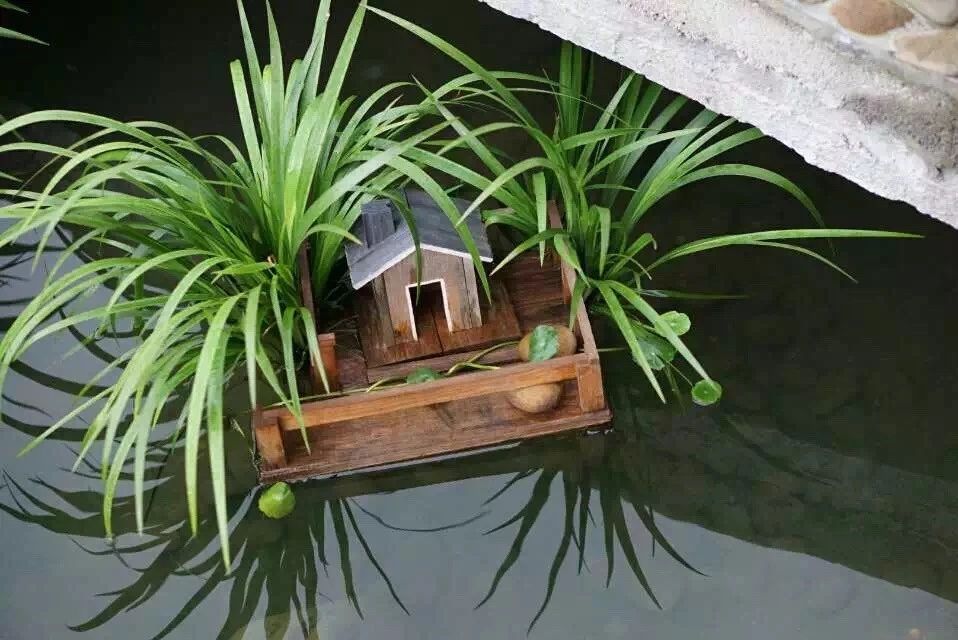 廣州·菁木山舍，有個(gè)木屋開滿鮮花看花開花落