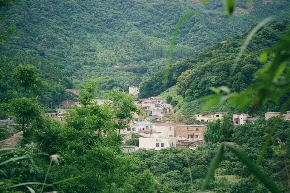 廣州·菁木山舍，有個(gè)木屋開(kāi)滿鮮花看花開(kāi)花落