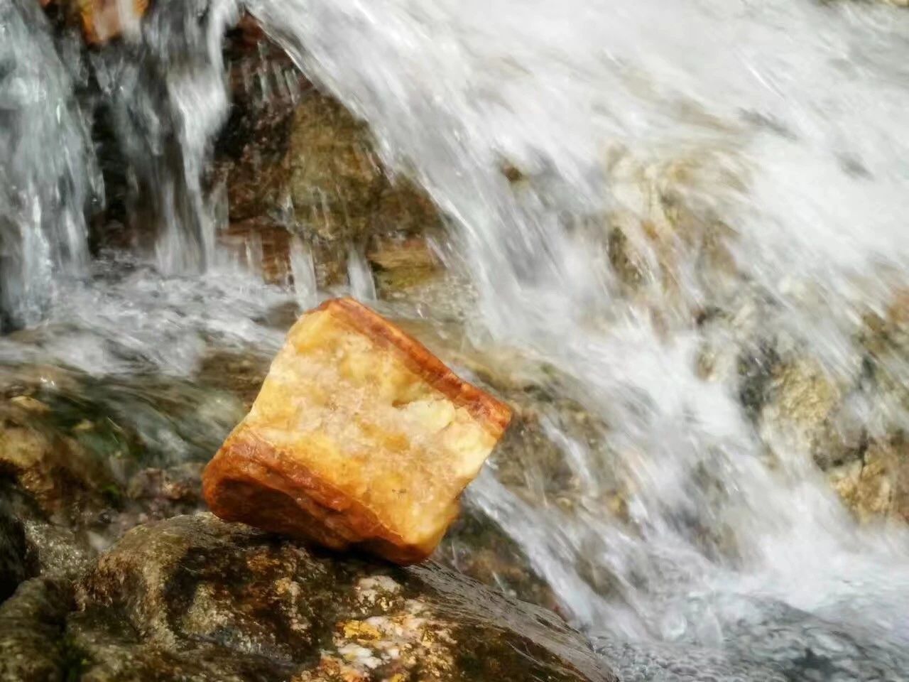 廣州·菁木山舍，有個(gè)木屋開(kāi)滿鮮花看花開(kāi)花落