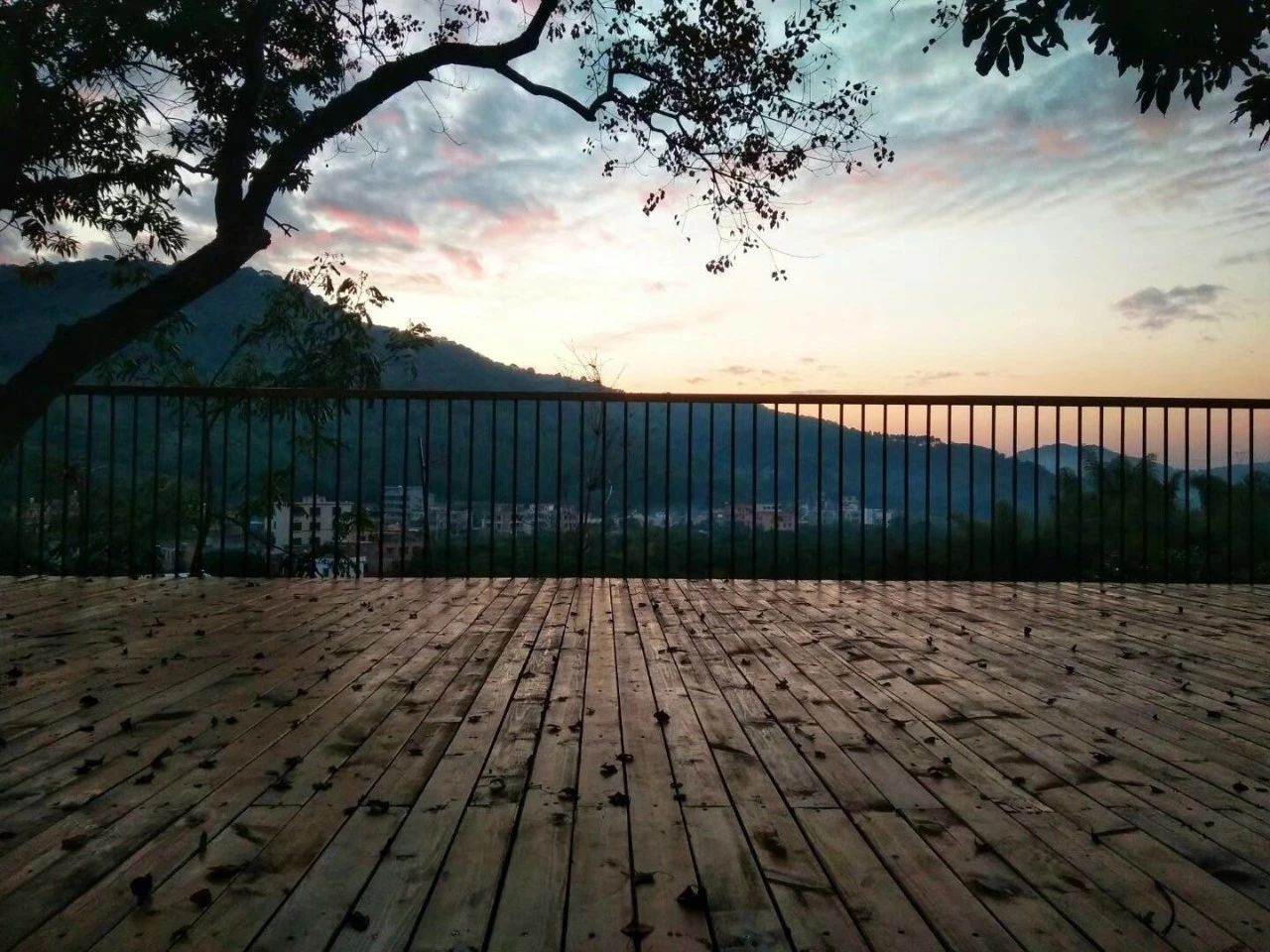 廣州·菁木山舍，有個(gè)木屋開滿鮮花看花開花落