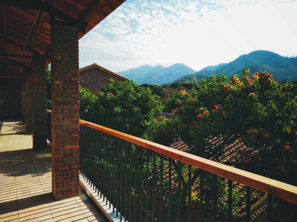 廣州·菁木山舍，有個(gè)木屋開滿鮮花看花開花落